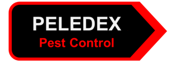 Peledex – Pest Control – Rodents  -Insects – Wasp Nest Removal – Bird Proofing