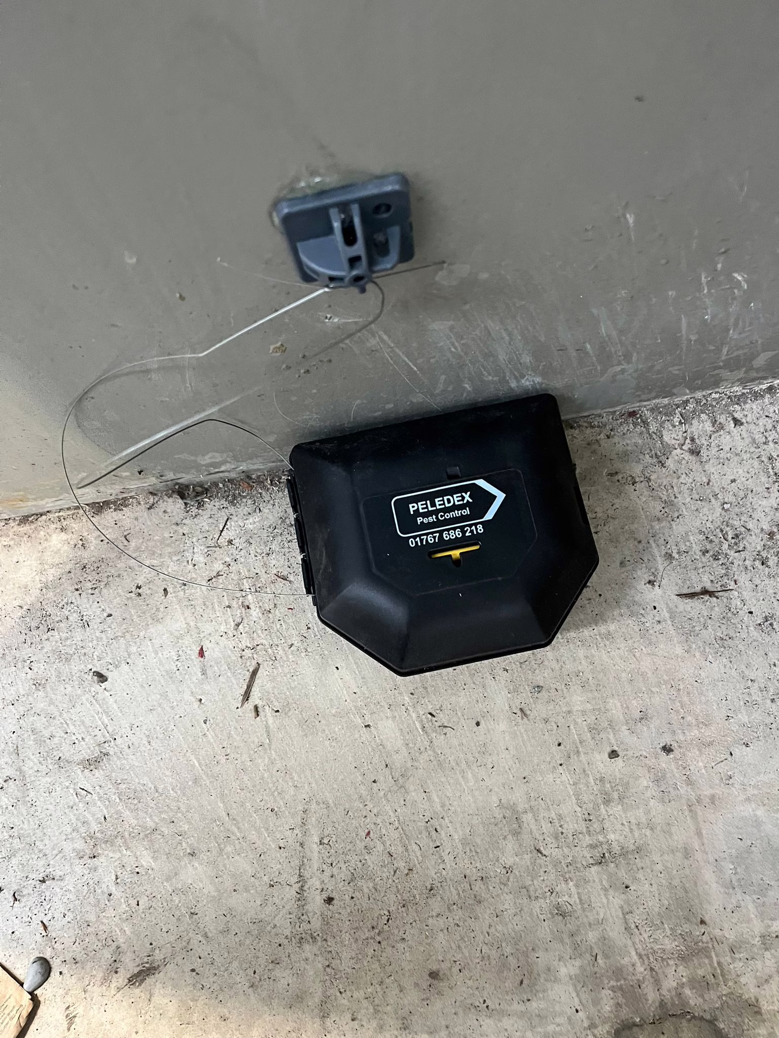 Image shows a peledex pest control branded mouse trapping box
