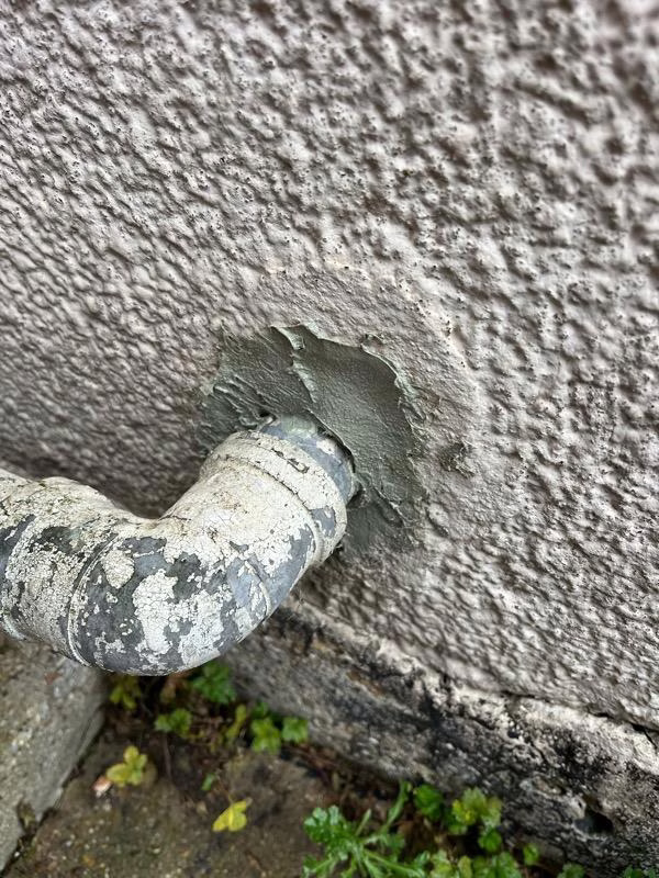 Pest proofing carried out by peledex pest control Bedford